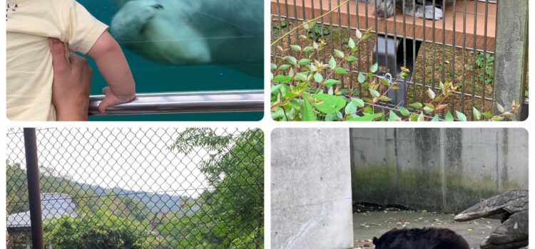 🐒動物園園🐯